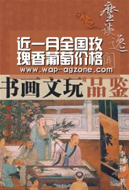 ag真人厅下载
