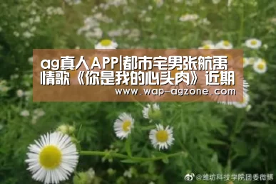 ag真人APP|都市宅男张航禹情歌《你是我的心头肉》近期发行(图3) AG真人互动