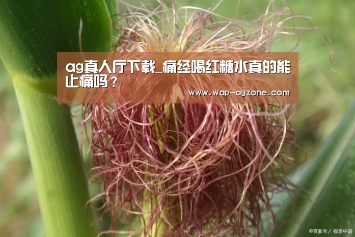 ag真人厅下载