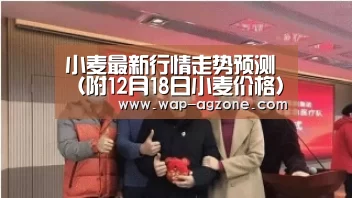 ag真人厅下载