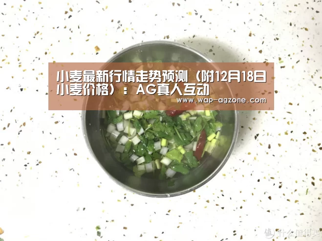 ag真人下载