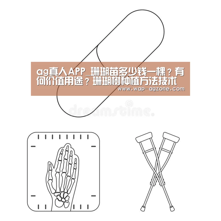 ag真人厅下载
