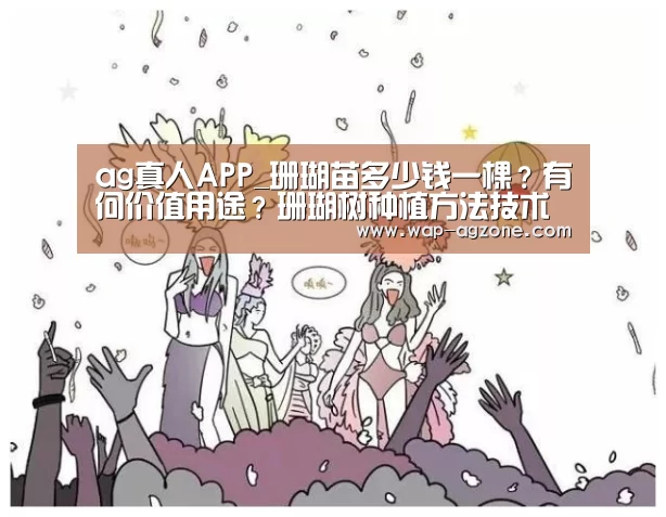 ag真人下载
