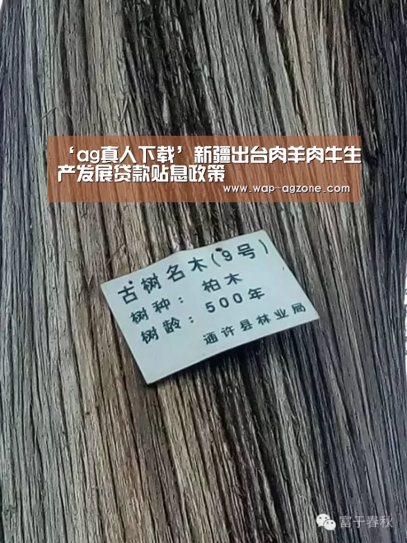 ‘ag真人下载’新疆出台肉羊肉牛生产发展贷款贴息政策(图2) ag真人APP