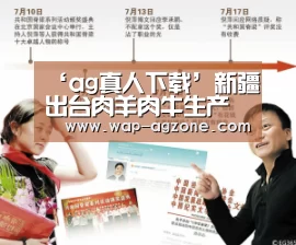 ‘ag真人下载’新疆出台肉羊肉牛生产发展贷款贴息政策(图4) ag真人APP