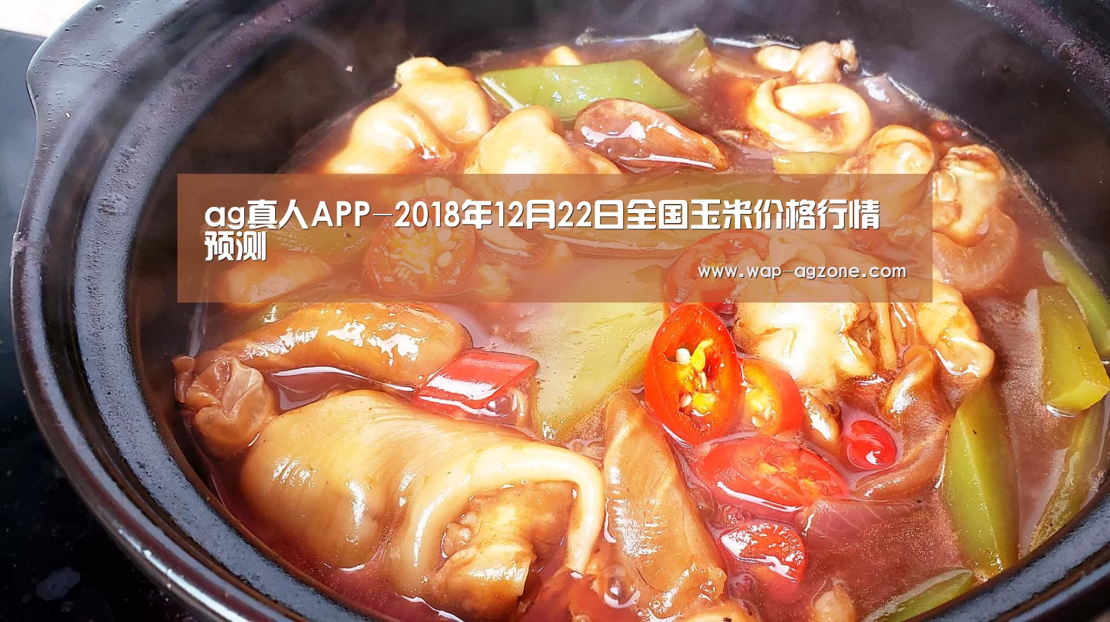 ag真人APP-2018年12月22日全国玉米价格行情预测(图3) ag真人下载