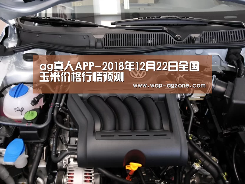 ag真人APP-2018年12月22日全国玉米价格行情预测(图2) ag真人厅下载