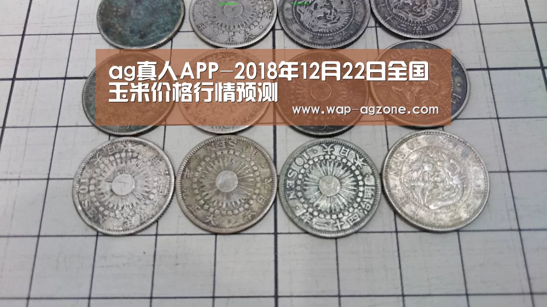 ag真人APP-2018年12月22日全国玉米价格行情预测(图4) ag真人厅下载