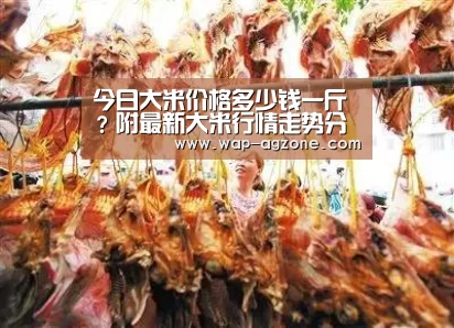 AG真人互动