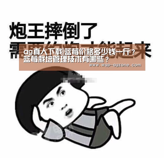ag真人下载|蓝莓价格多少钱一斤?蓝莓栽培管理技术有哪些?(图2) ag真人下载