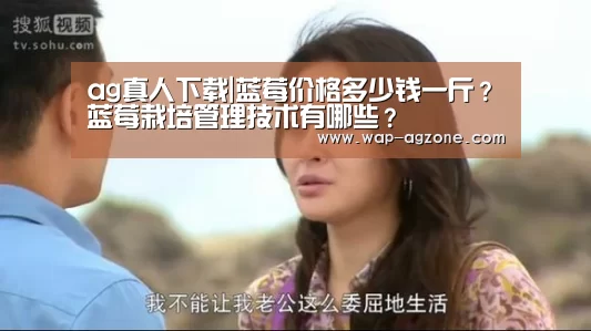 ag真人下载|蓝莓价格多少钱一斤?蓝莓栽培管理技术有哪些?(图4) ag真人厅下载