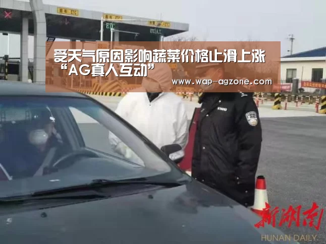 ag真人厅下载