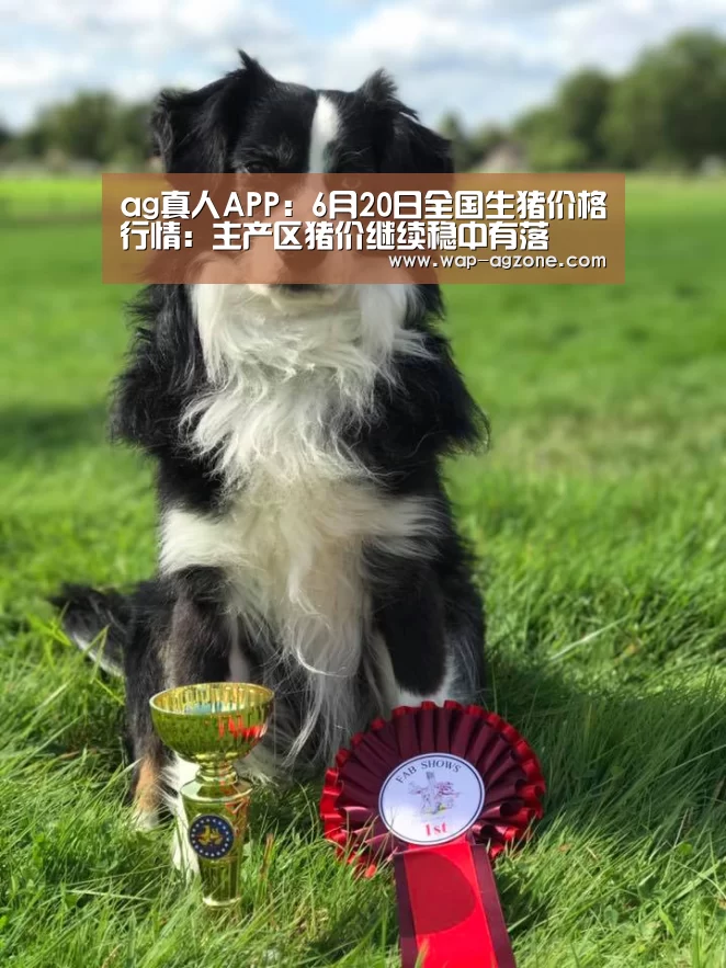 ag真人APP:6月20日全国生猪价格行情:主产区猪价继续稳中有落(图1) ag真人厅下载