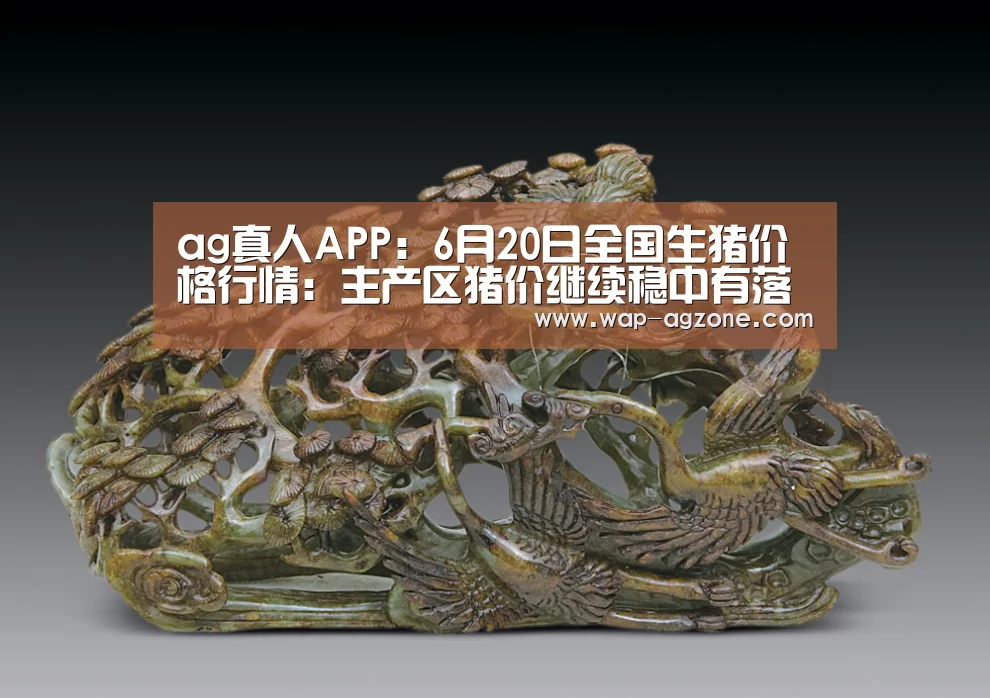 ag真人APP:6月20日全国生猪价格行情:主产区猪价继续稳中有落(图3) ag真人下载