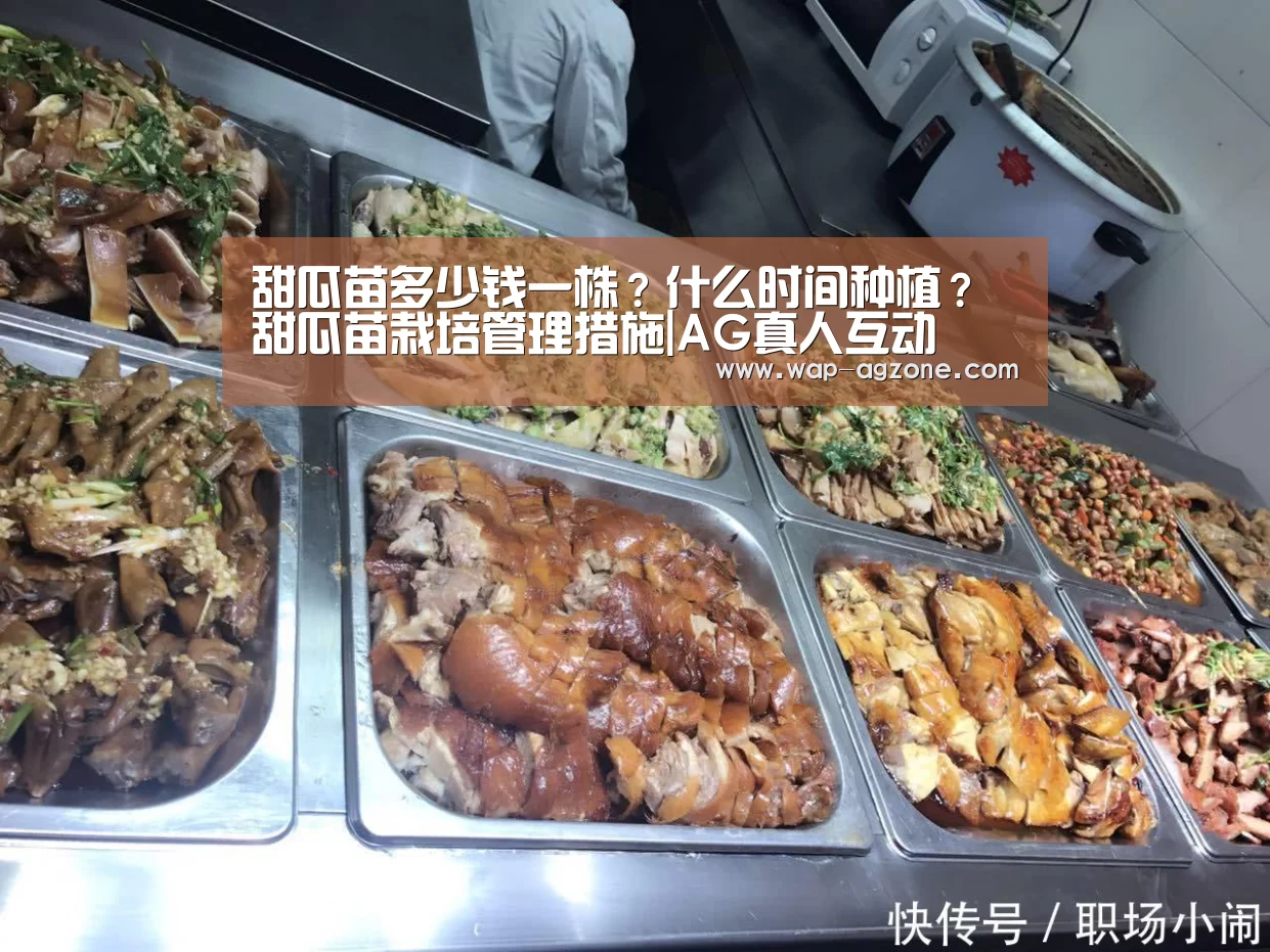 ag真人厅下载