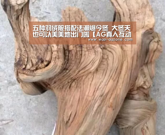 五种羽绒服搭配法潮爆今冬 大冬天也可以美美地出门啦【AG真人互动】(图3) ag真人厅下载