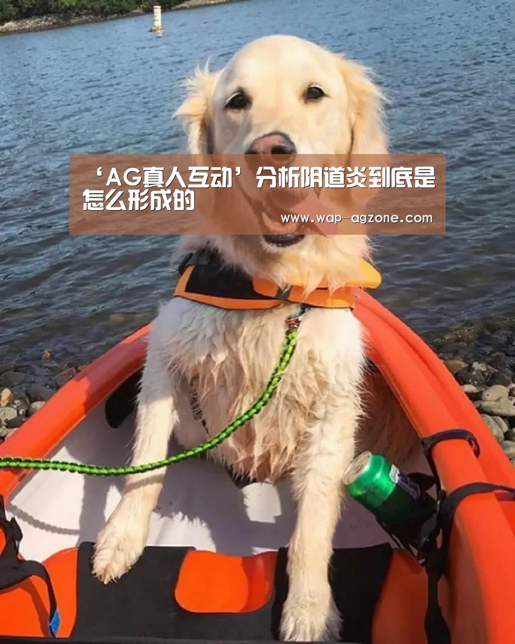 ‘AG真人互动’分析阴道炎到底是怎么形成的(图1) ag真人下载