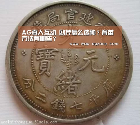 AG真人互动_欧芹怎么选种?育苗方法有哪些?(图1) ag真人下载